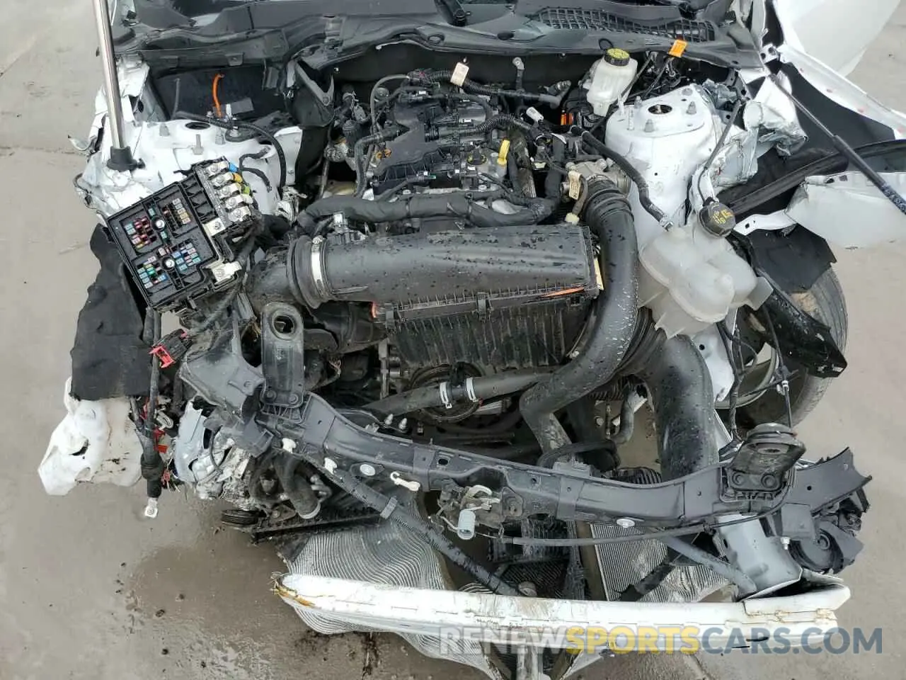 12 fotografías del automóvil dañado 1FA6P8TH7R5122317 FORD ALL Models 2024