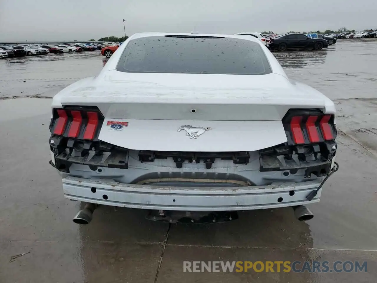 6 fotografías del automóvil dañado 1FA6P8TH7R5122317 FORD ALL Models 2024