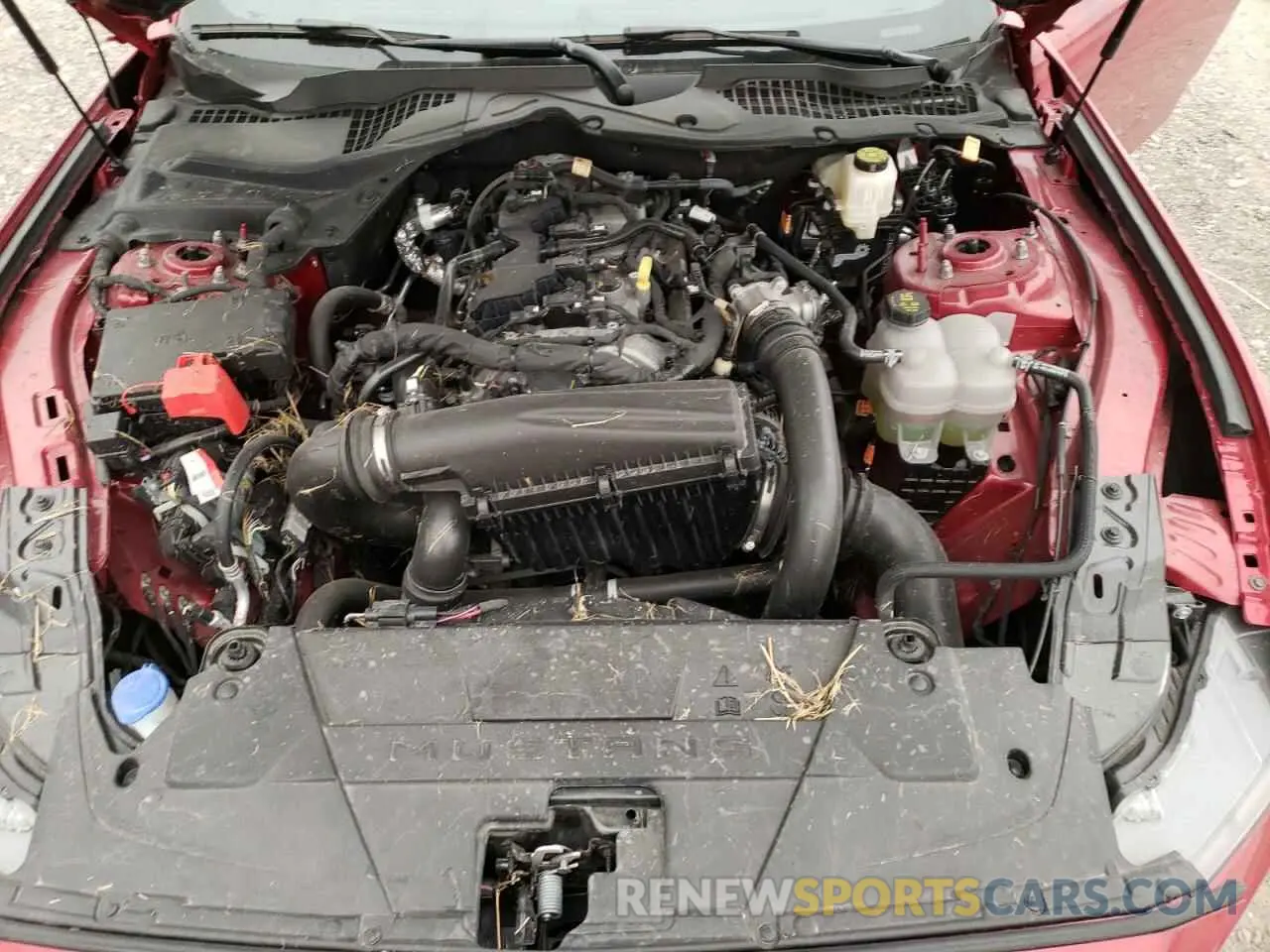 11 fotografías del automóvil dañado 1FA6P8TH8R5108376 FORD ALL Models 2024