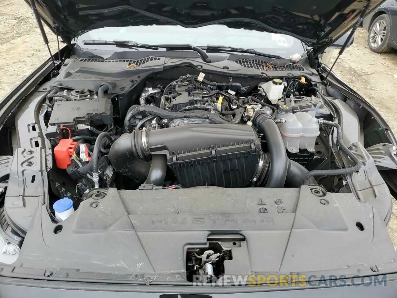11 fotografías del automóvil dañado 1FA6P8TH8R5111195 FORD ALL Models 2024