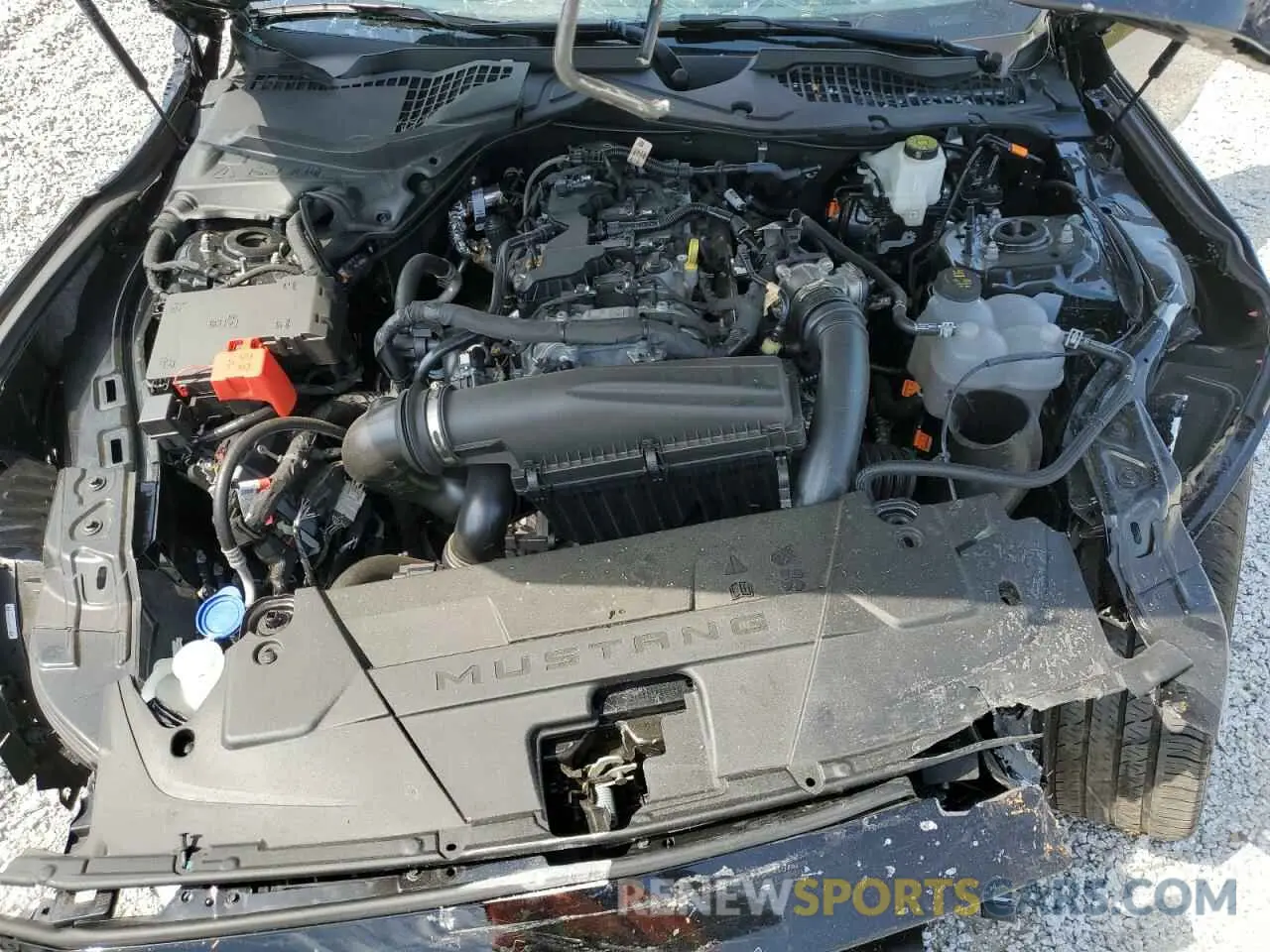11 fotografías del automóvil dañado 1FA6P8TH8R5142009 FORD ALL Models 2024