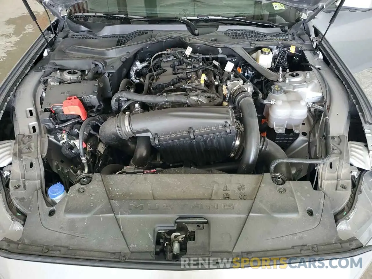 11 fotografías del automóvil dañado 1FAGP8UH2R5136533 FORD ALL Models 2024