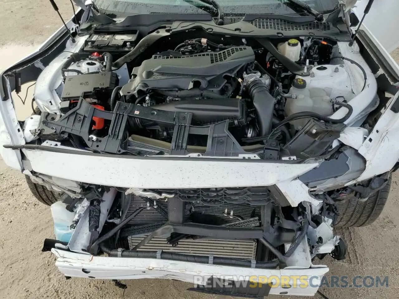 11 fotografías del automóvil dañado 1FAGP8UH3R5120969 FORD ALL Models 2024