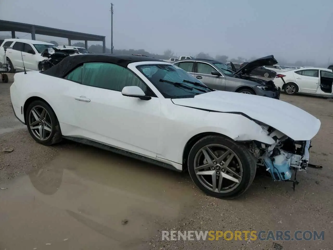4 fotografías del automóvil dañado 1FAGP8UH3R5120969 FORD ALL Models 2024