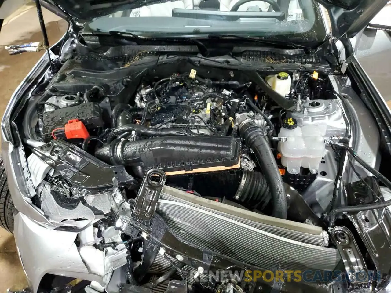 11 fotografías del automóvil dañado 1FAGP8UH4R5140969 FORD ALL Models 2024