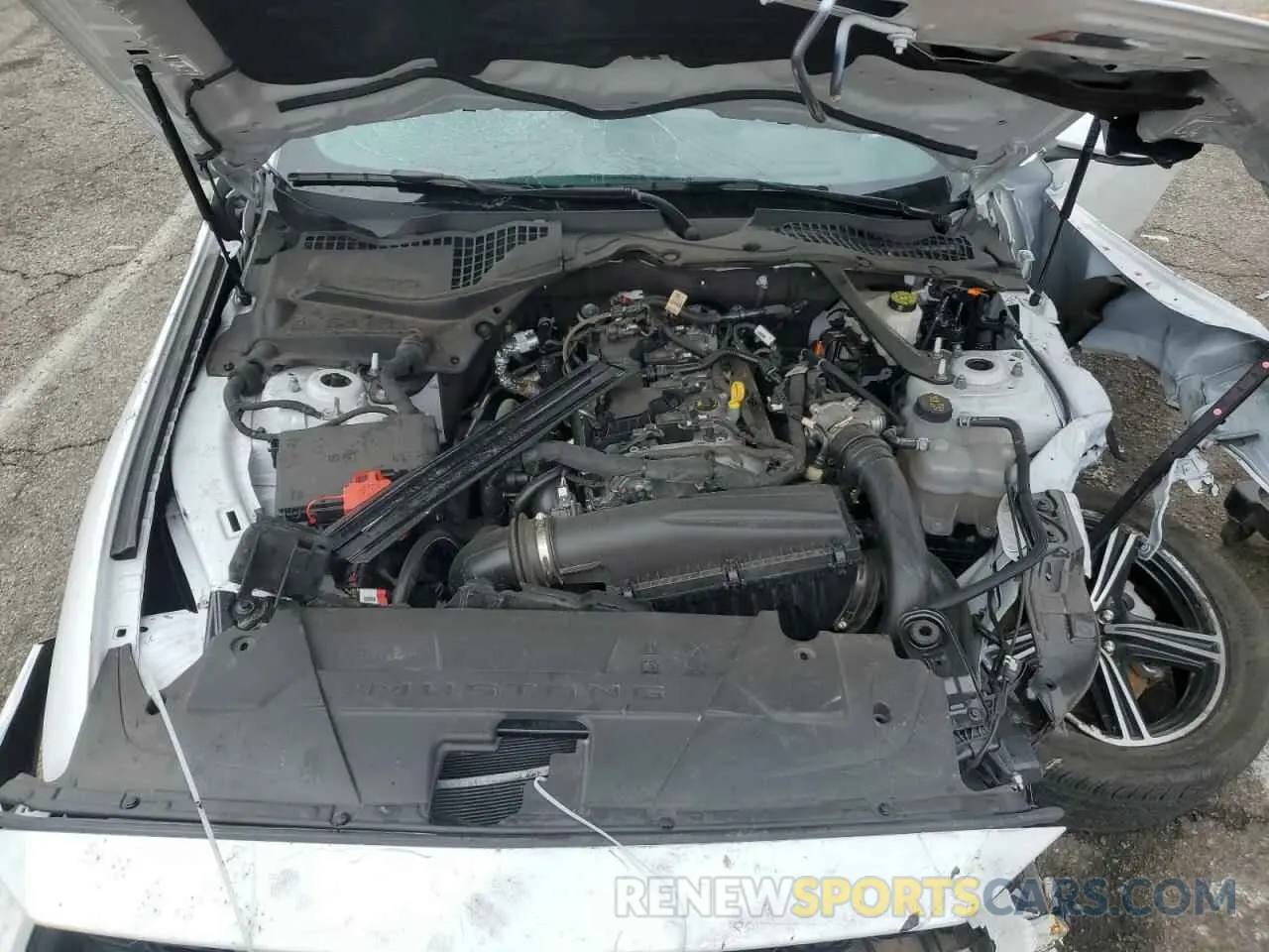 11 fotografías del automóvil dañado 1FAGP8UH5R5134002 FORD ALL Models 2024