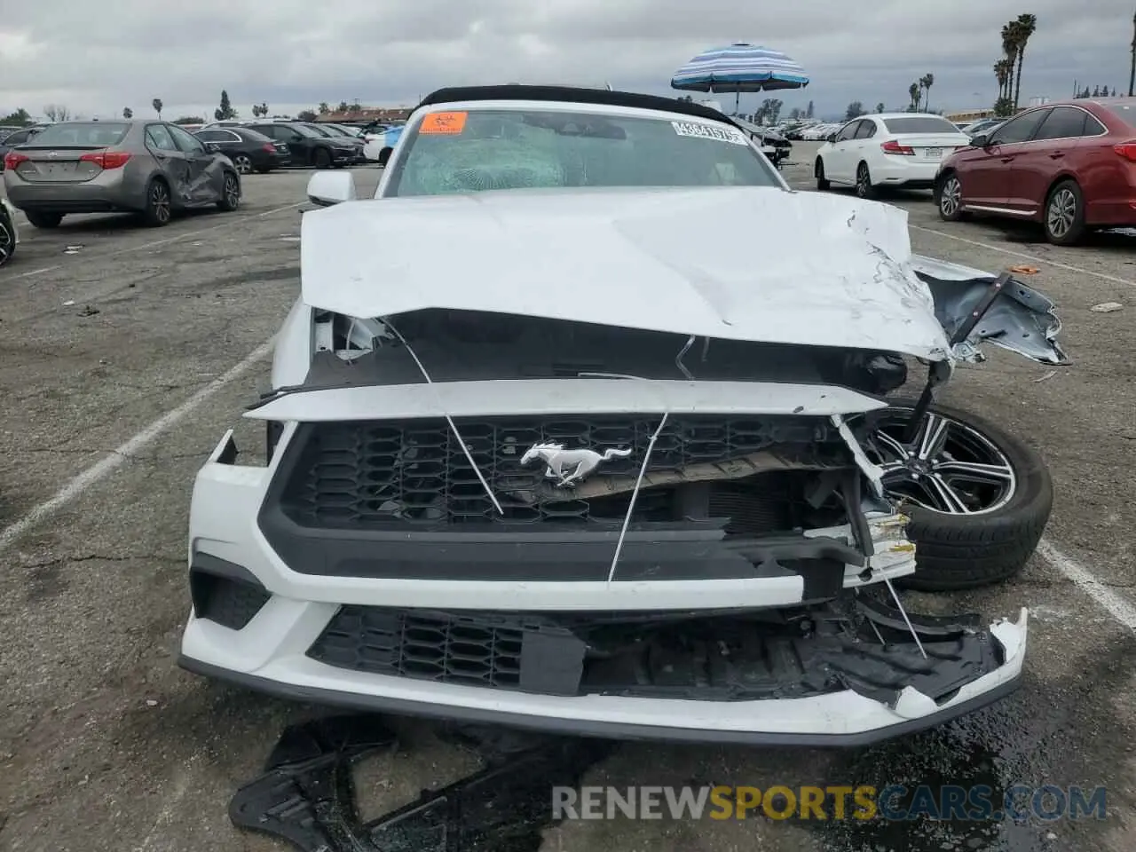 5 fotografías del automóvil dañado 1FAGP8UH5R5134002 FORD ALL Models 2024