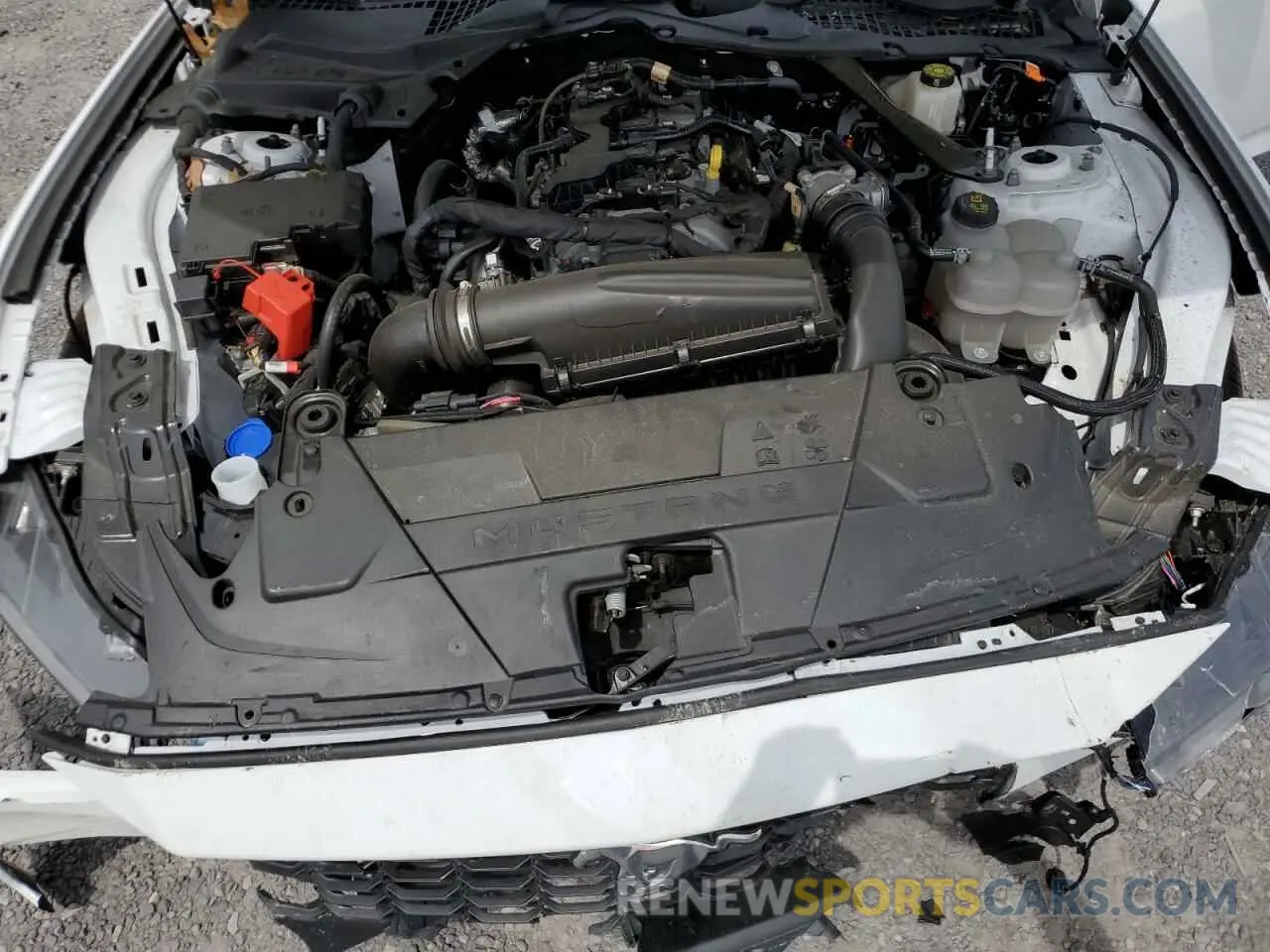 11 fotografías del automóvil dañado 1FAGP8UH7R5122580 FORD ALL Models 2024