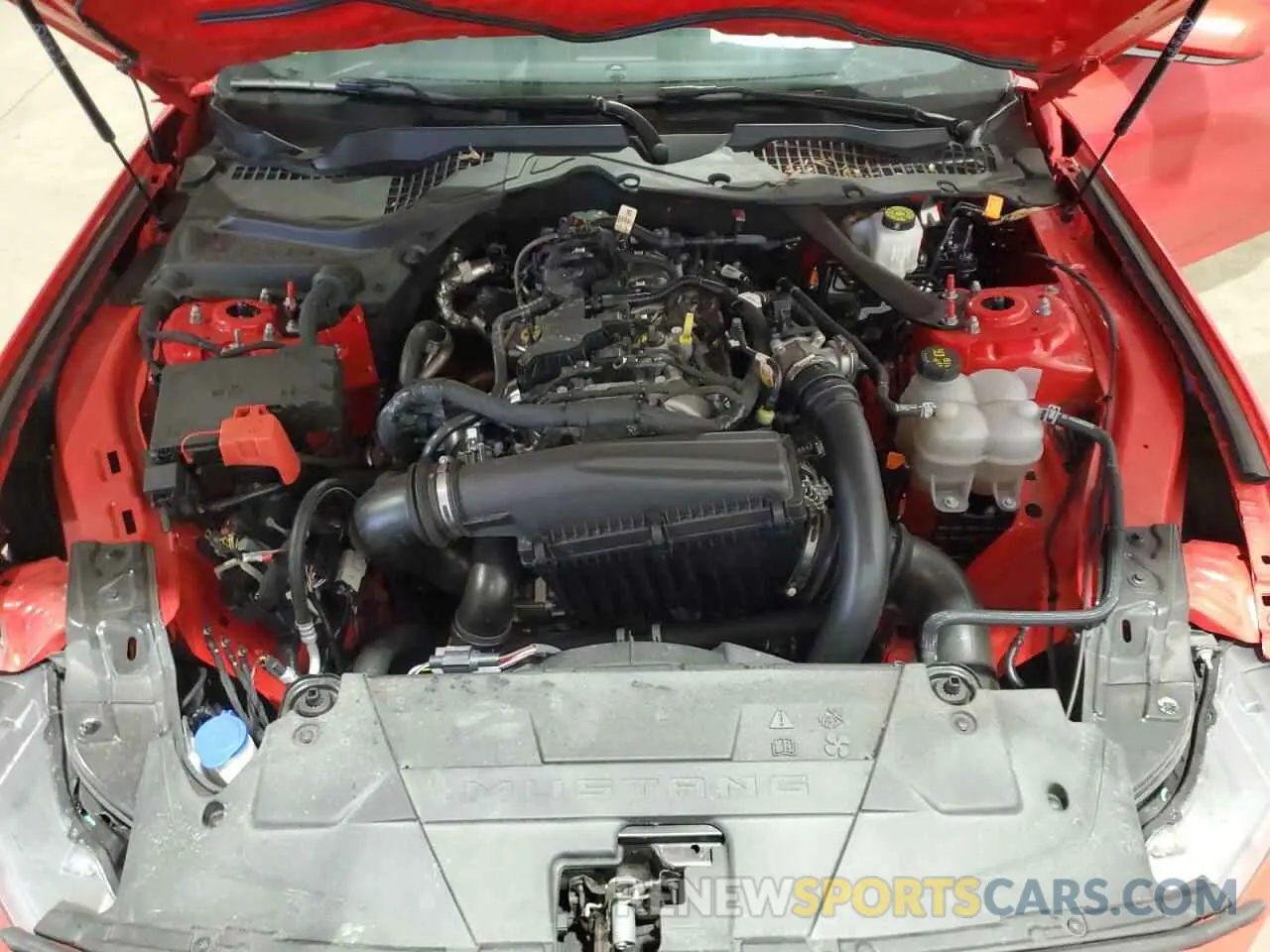 11 fotografías del automóvil dañado 1FAGP8UH7R5133787 FORD ALL Models 2024