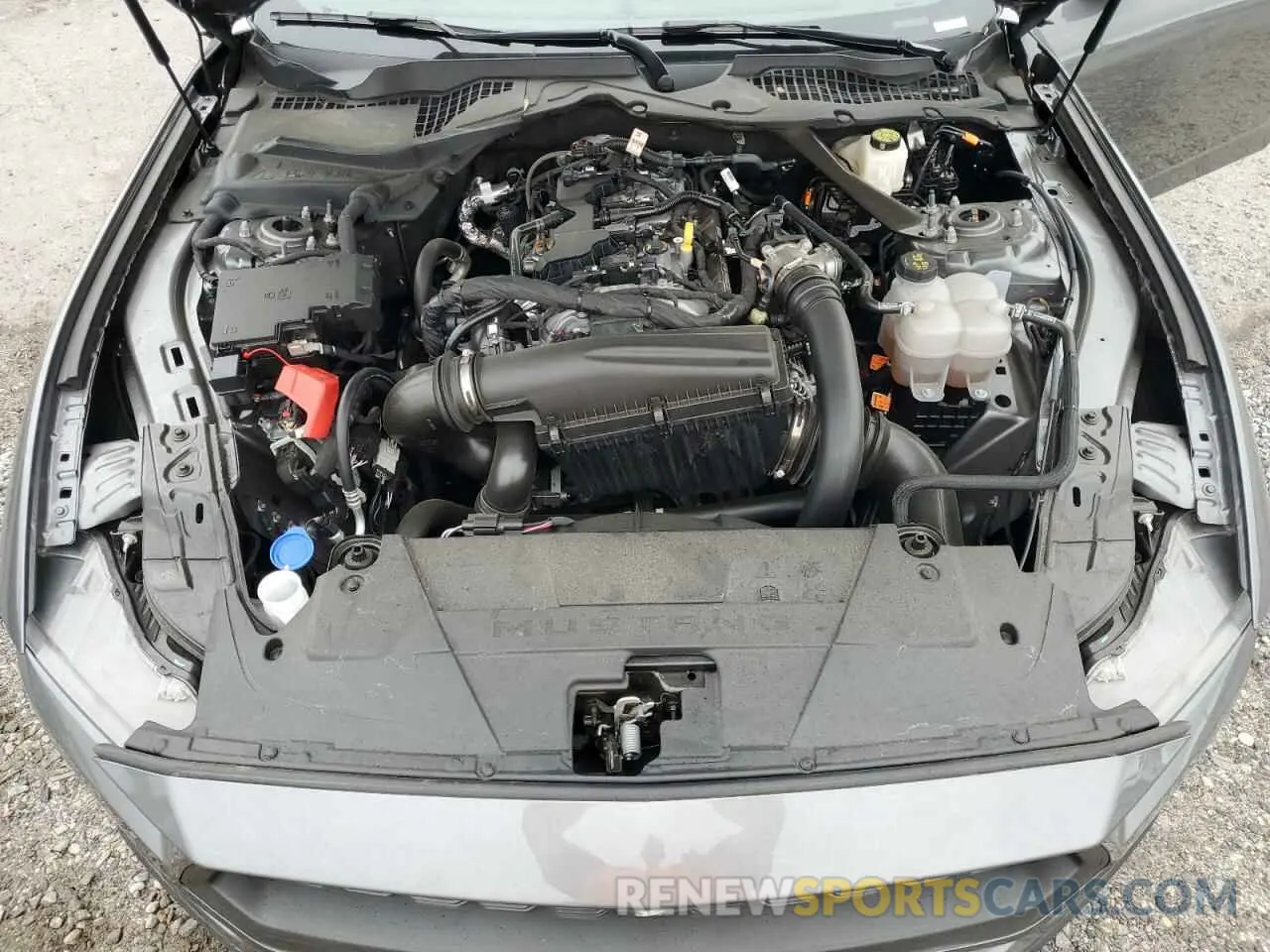 11 fotografías del automóvil dañado 1FAGP8UH8R5133393 FORD ALL Models 2024