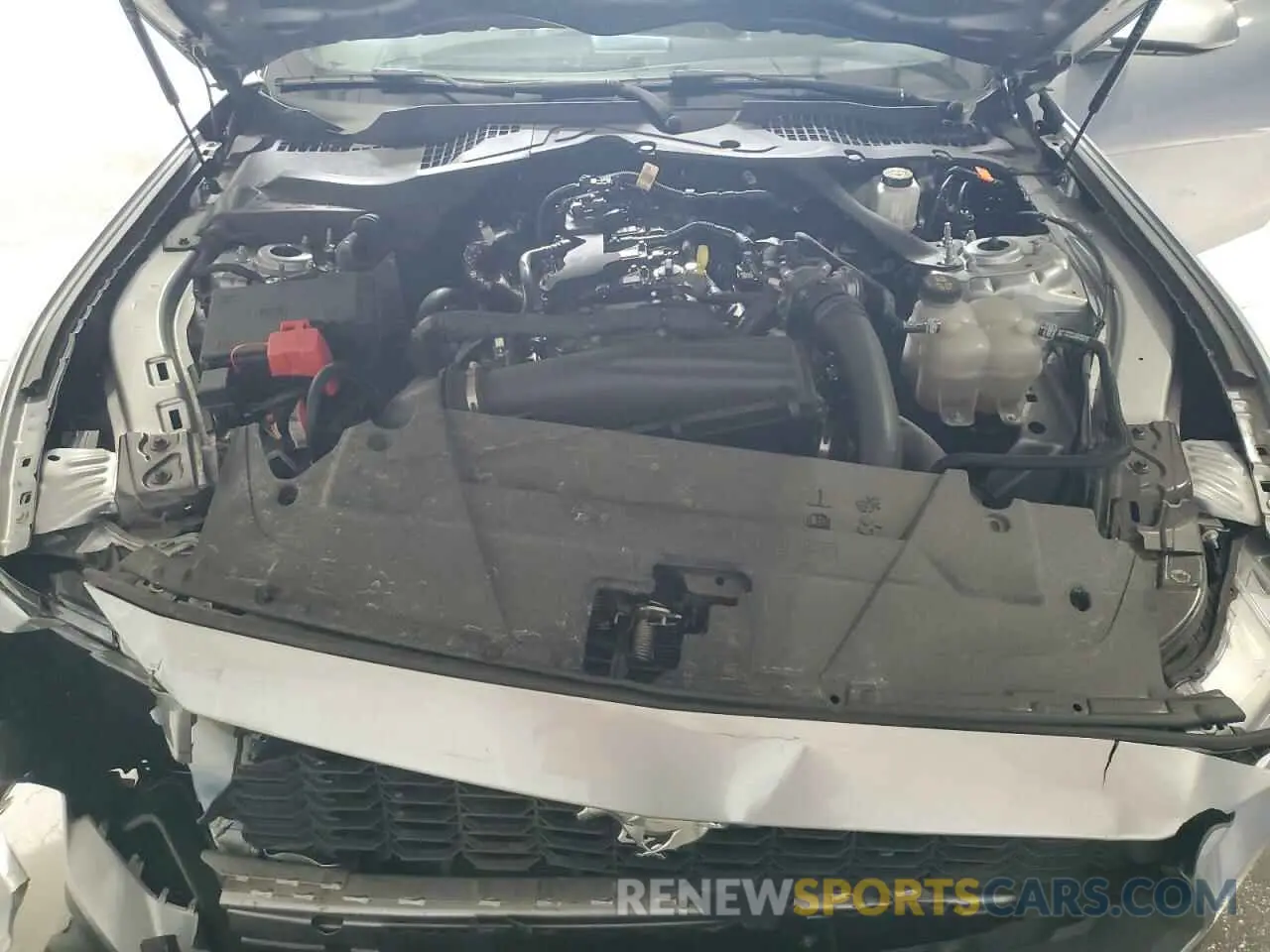11 fotografías del automóvil dañado 1FAGP8UH9R5120166 FORD ALL Models 2024