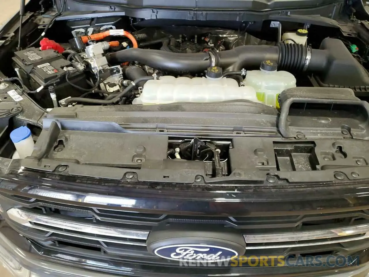 11 fotografías del automóvil dañado 1FTFW3LD1RFC06639 FORD All Models 2024