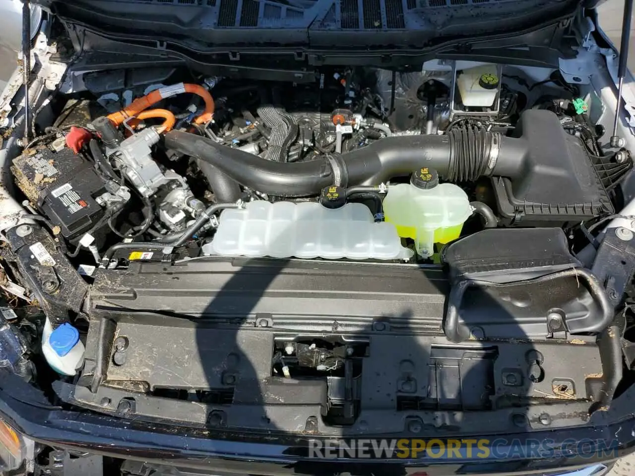 11 fotografías del automóvil dañado 1FTFW3LD4RFB87701 FORD All Models 2024