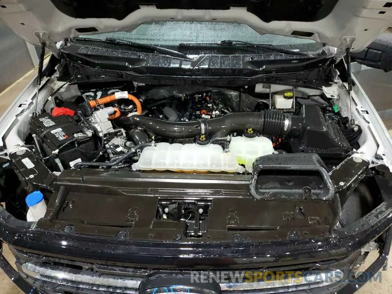 11 fotografías del automóvil dañado 1FTFW3LD8RFA48252 FORD All Models 2024