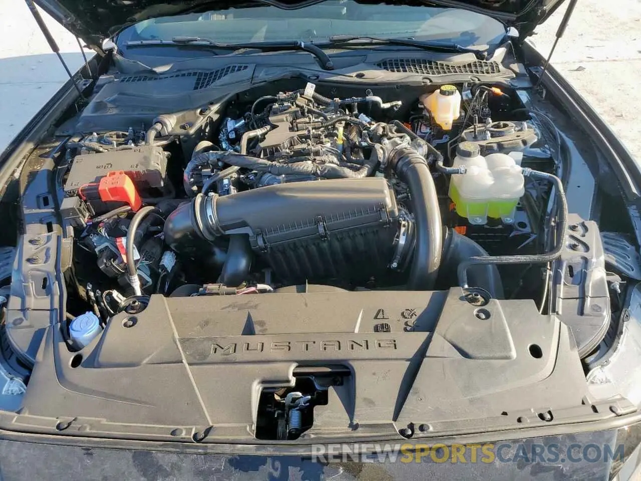 11 fotografías del automóvil dañado 1FA6P8TH4S5109725 FORD ALL Models 2025