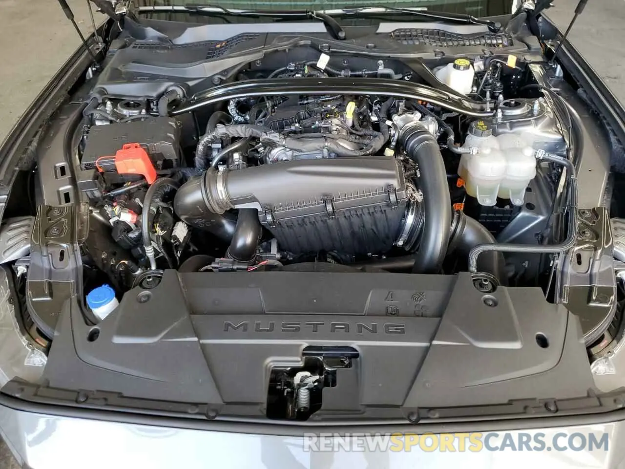 11 fotografías del automóvil dañado 1FAGP8UHXS5105858 FORD ALL Models 2025
