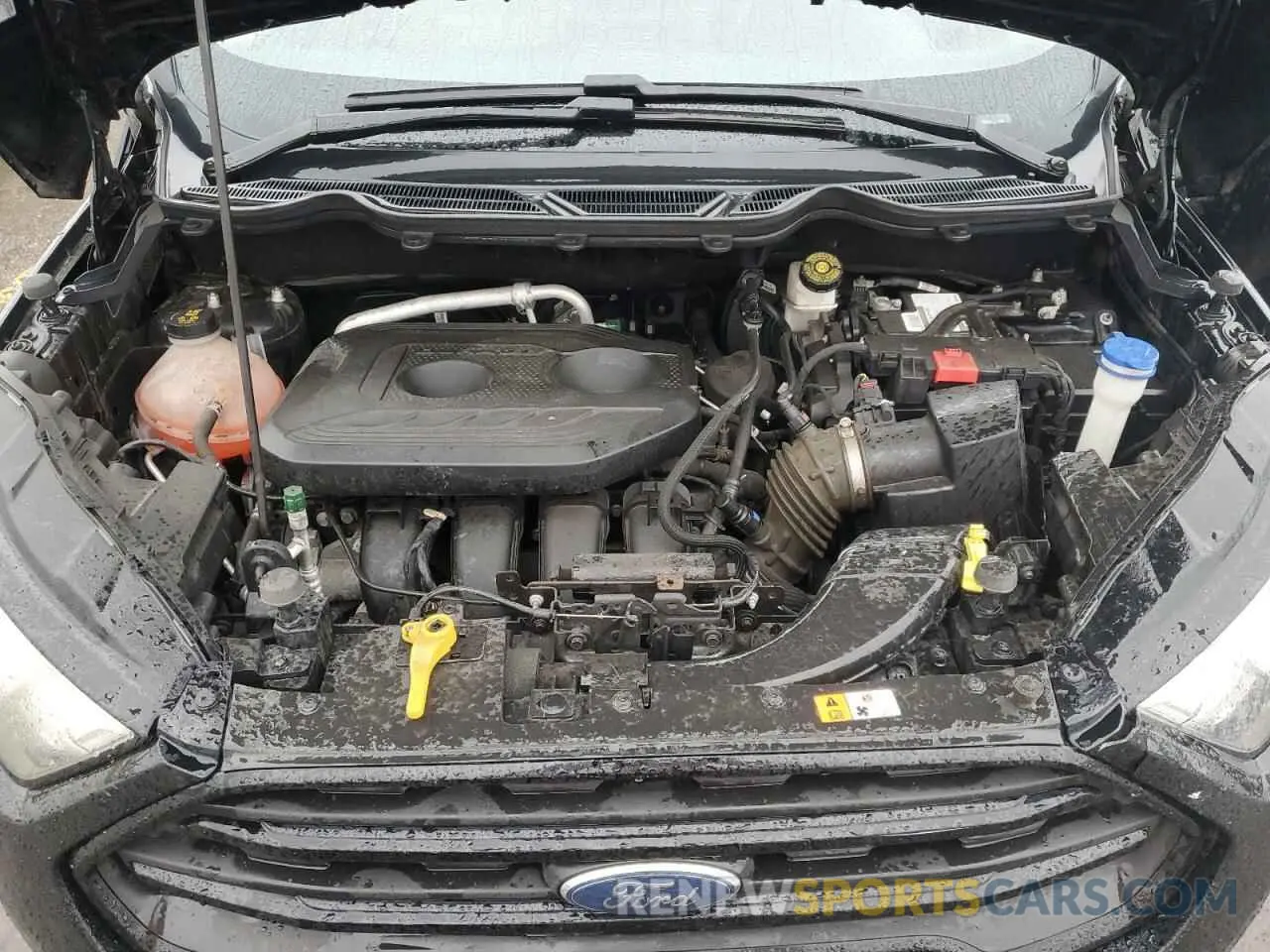 12 fotografías del automóvil dañado MAJ6S3FL1KC308874 FORD ECOSPORT 2019