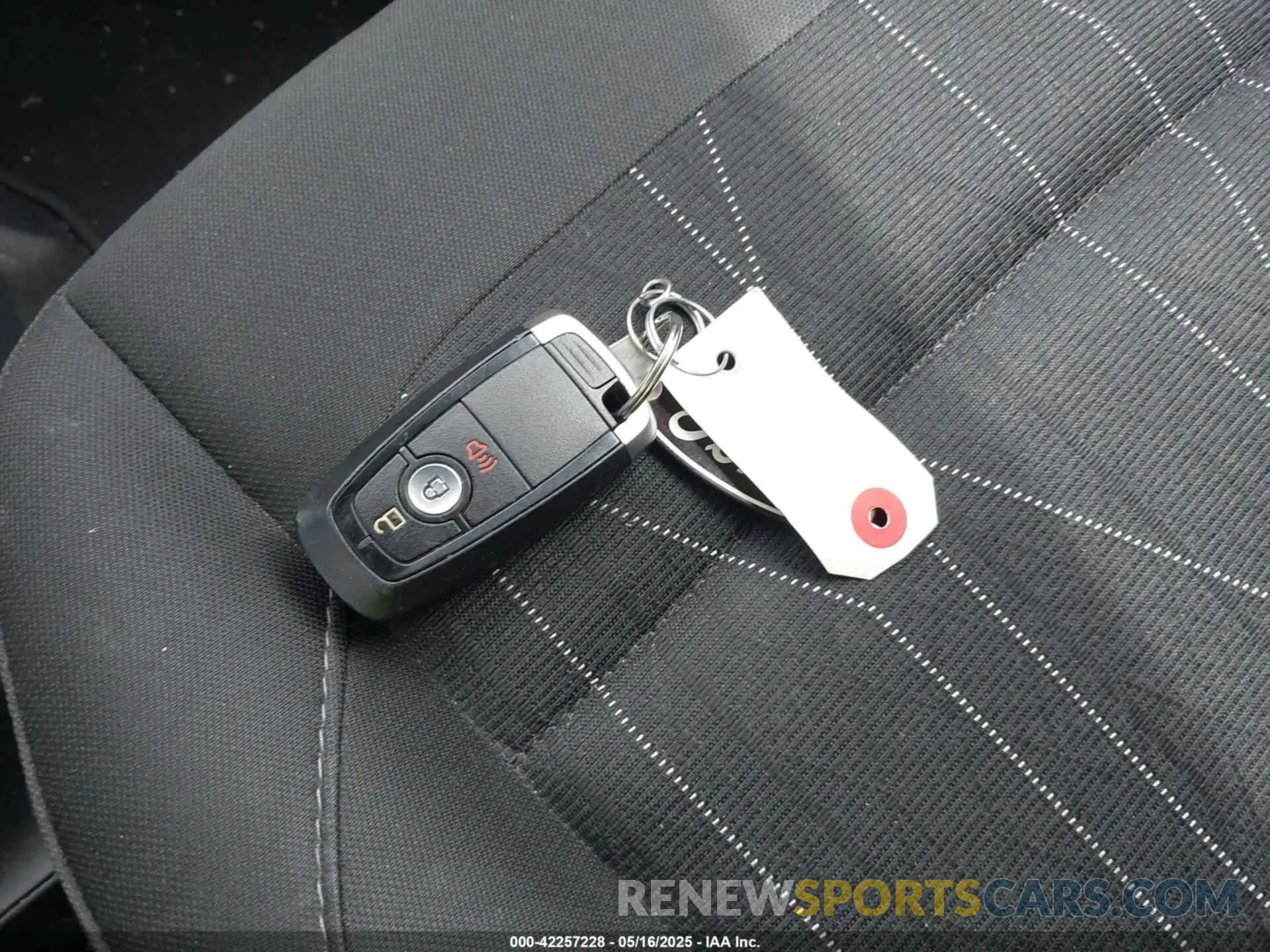 11 fotografías del automóvil dañado MAJ6S3GL1KC270741 FORD ECOSPORT 2019
