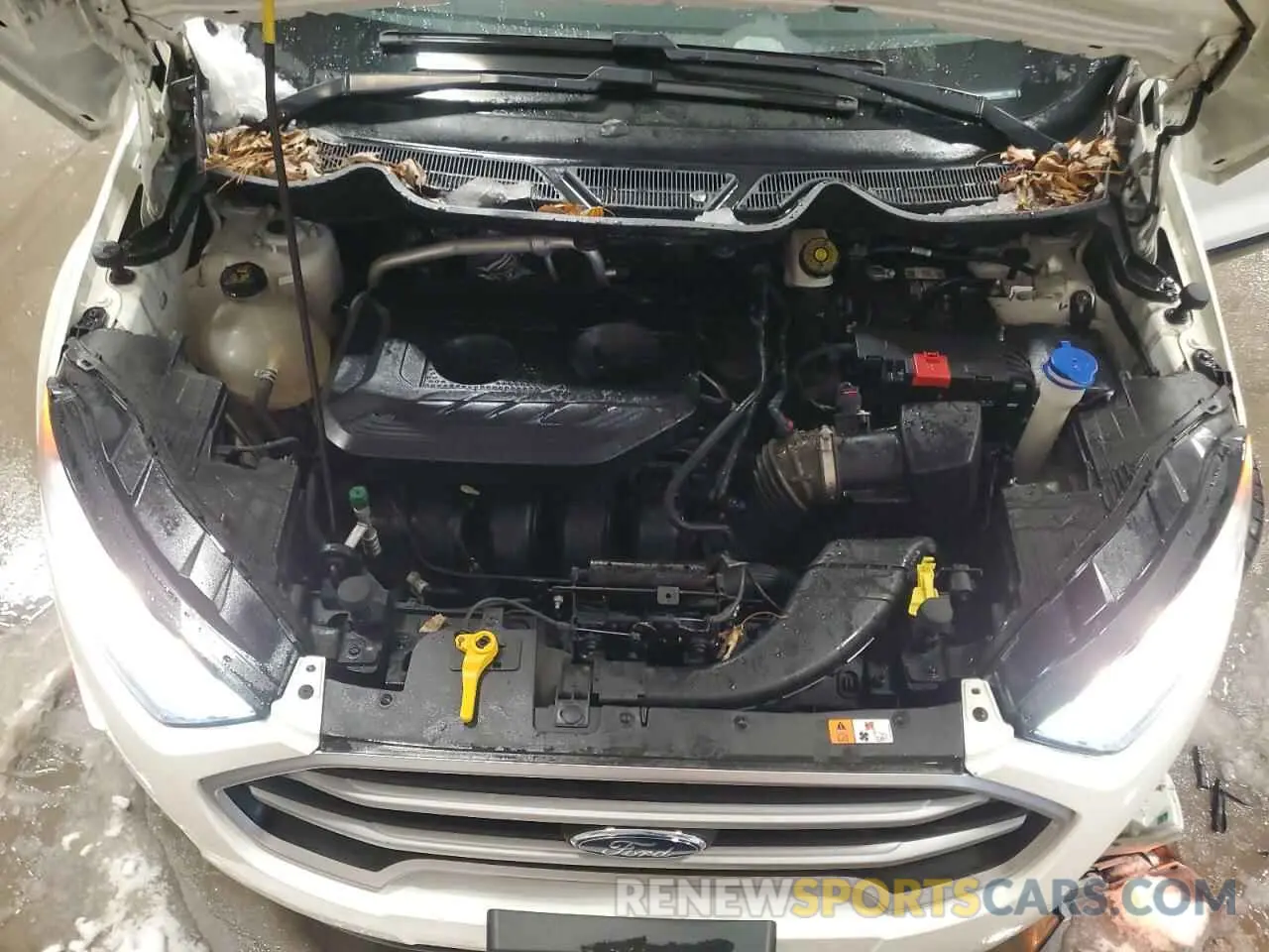 12 fotografías del automóvil dañado MAJ6S3GL4KC289865 FORD ECOSPORT 2019
