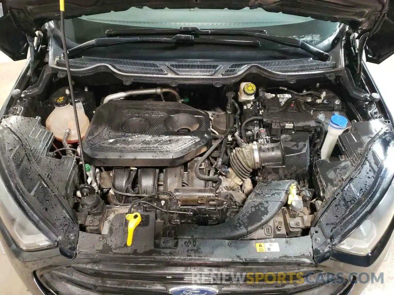 12 fotografías del automóvil dañado MAJ6S3JL0KC309201 FORD ECOSPORT 2019