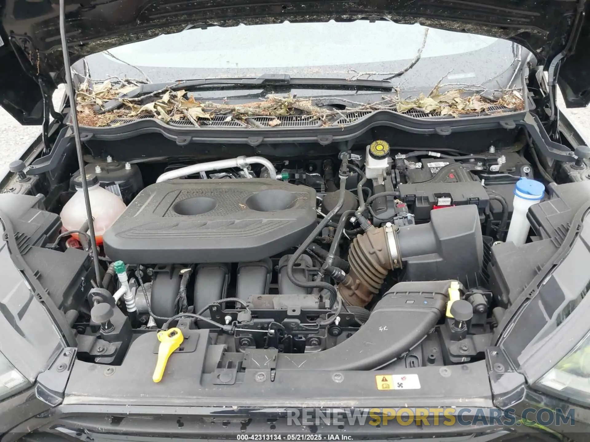 10 fotografías del automóvil dañado MAJ6S3JL8KC252584 FORD ECOSPORT 2019