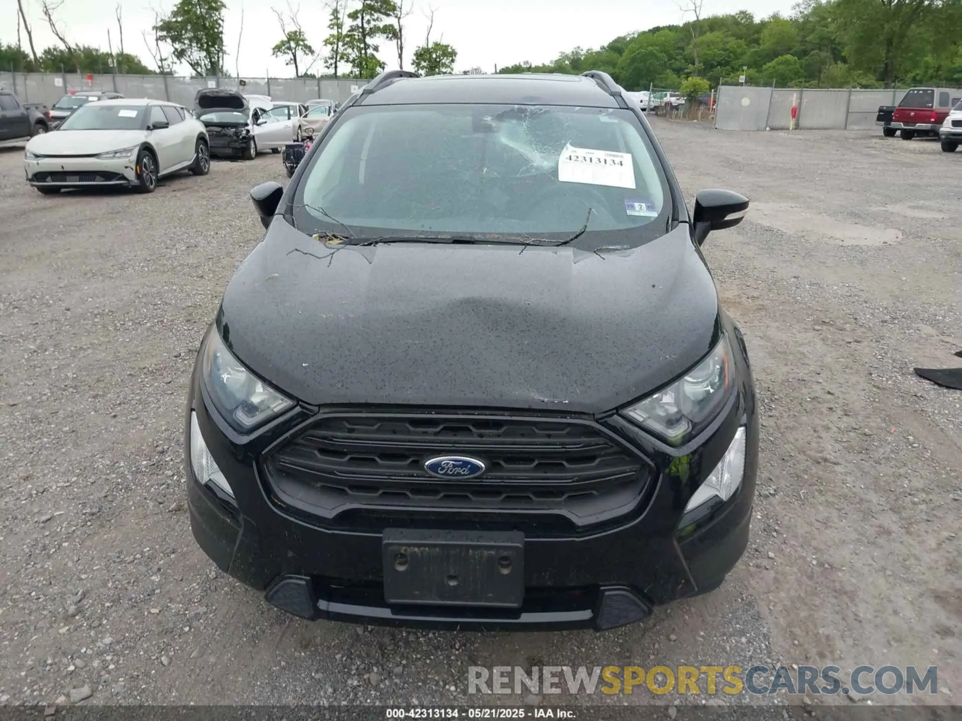 12 fotografías del automóvil dañado MAJ6S3JL8KC252584 FORD ECOSPORT 2019