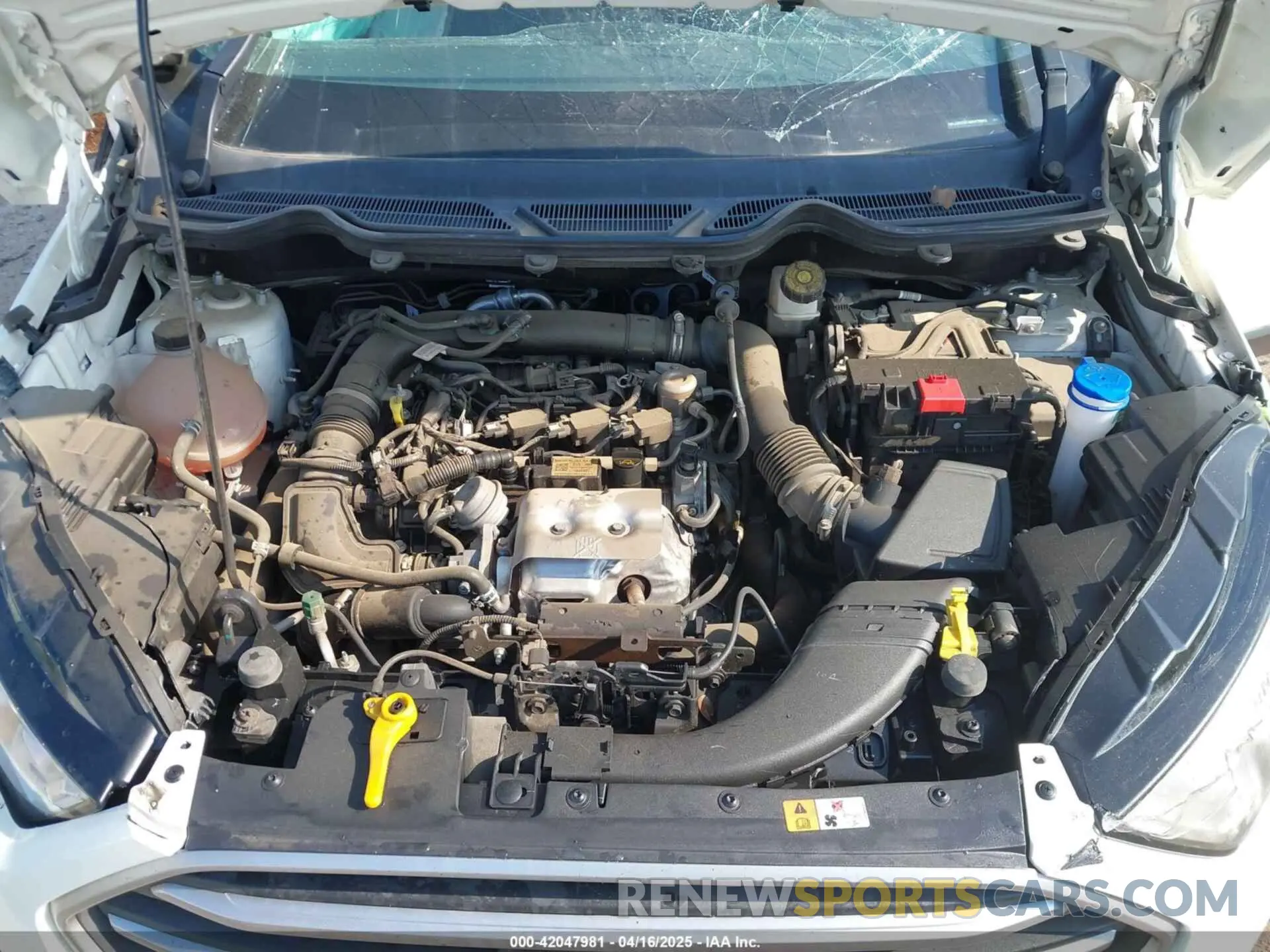 10 fotografías del automóvil dañado MAJ3S2GE2MC439943 FORD ECOSPORT 2021