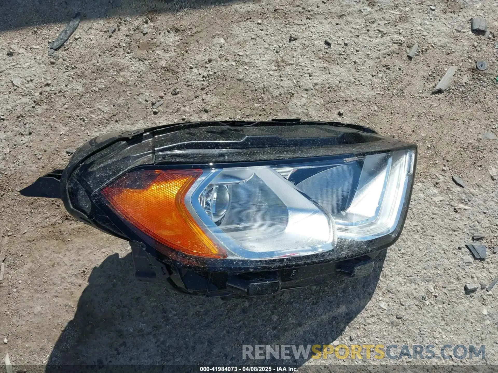 12 fotografías del automóvil dañado MAJ3S2GE9MC455900 FORD ECOSPORT 2021