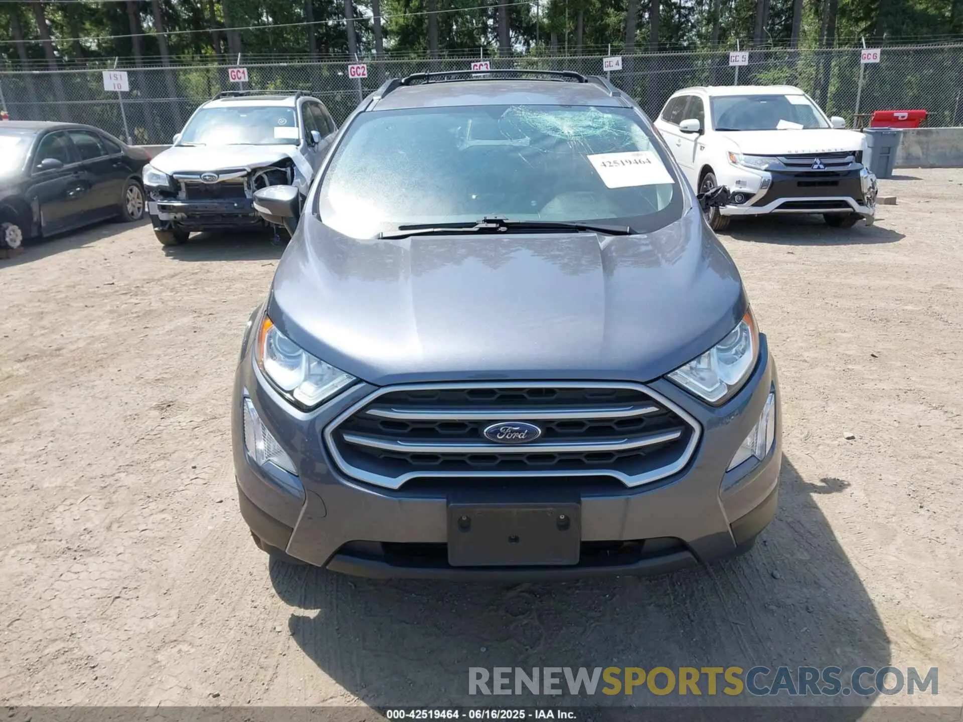 12 fotografías del automóvil dañado MAJ6S3GL6MC454589 FORD ECOSPORT 2021
