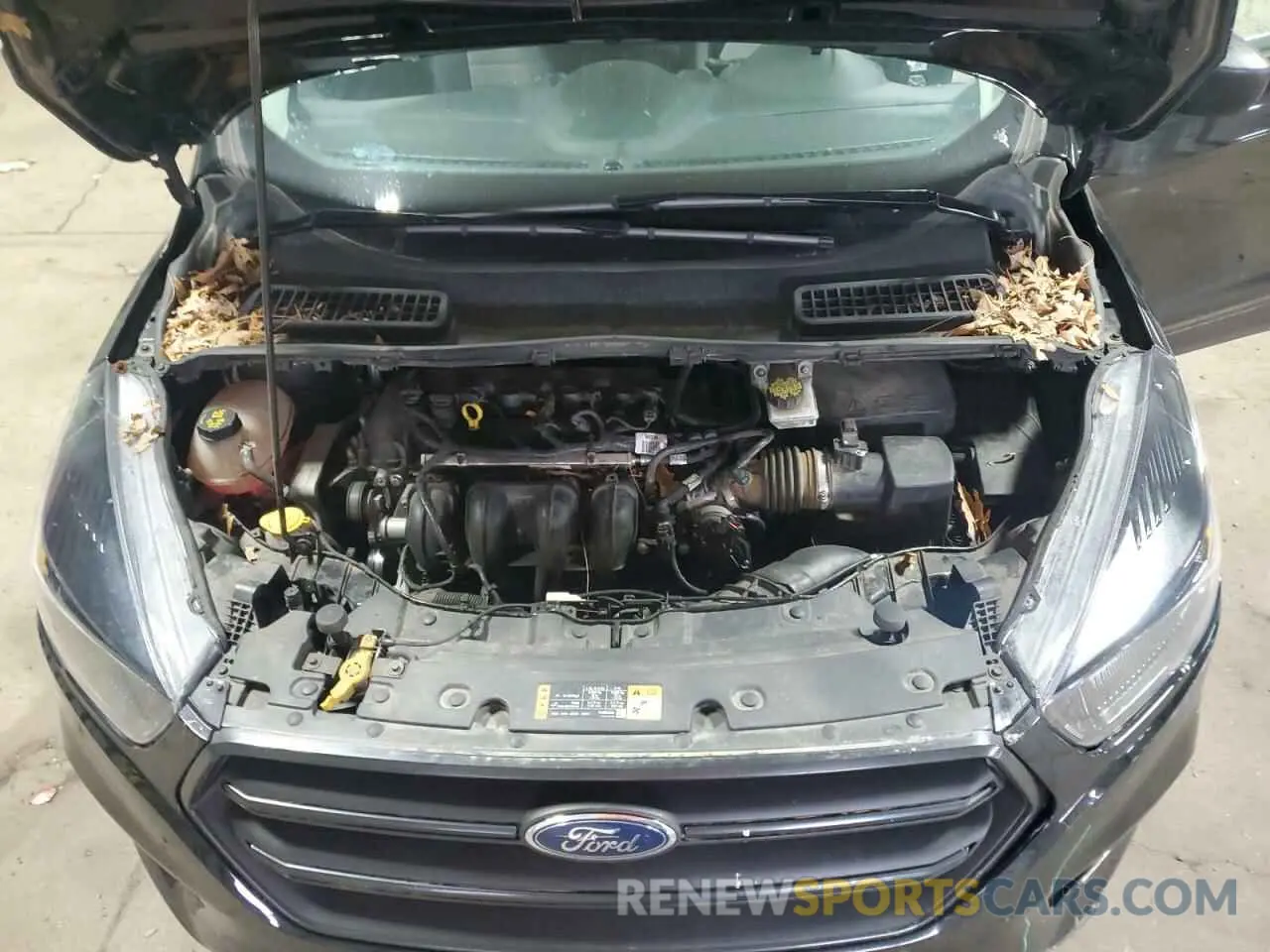 12 fotografías del automóvil dañado 1FMCU0F73KUB49919 FORD ESCAPE 2019