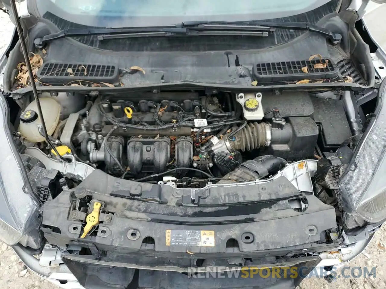 12 fotografías del automóvil dañado 1FMCU0F74KUA04873 FORD ESCAPE 2019