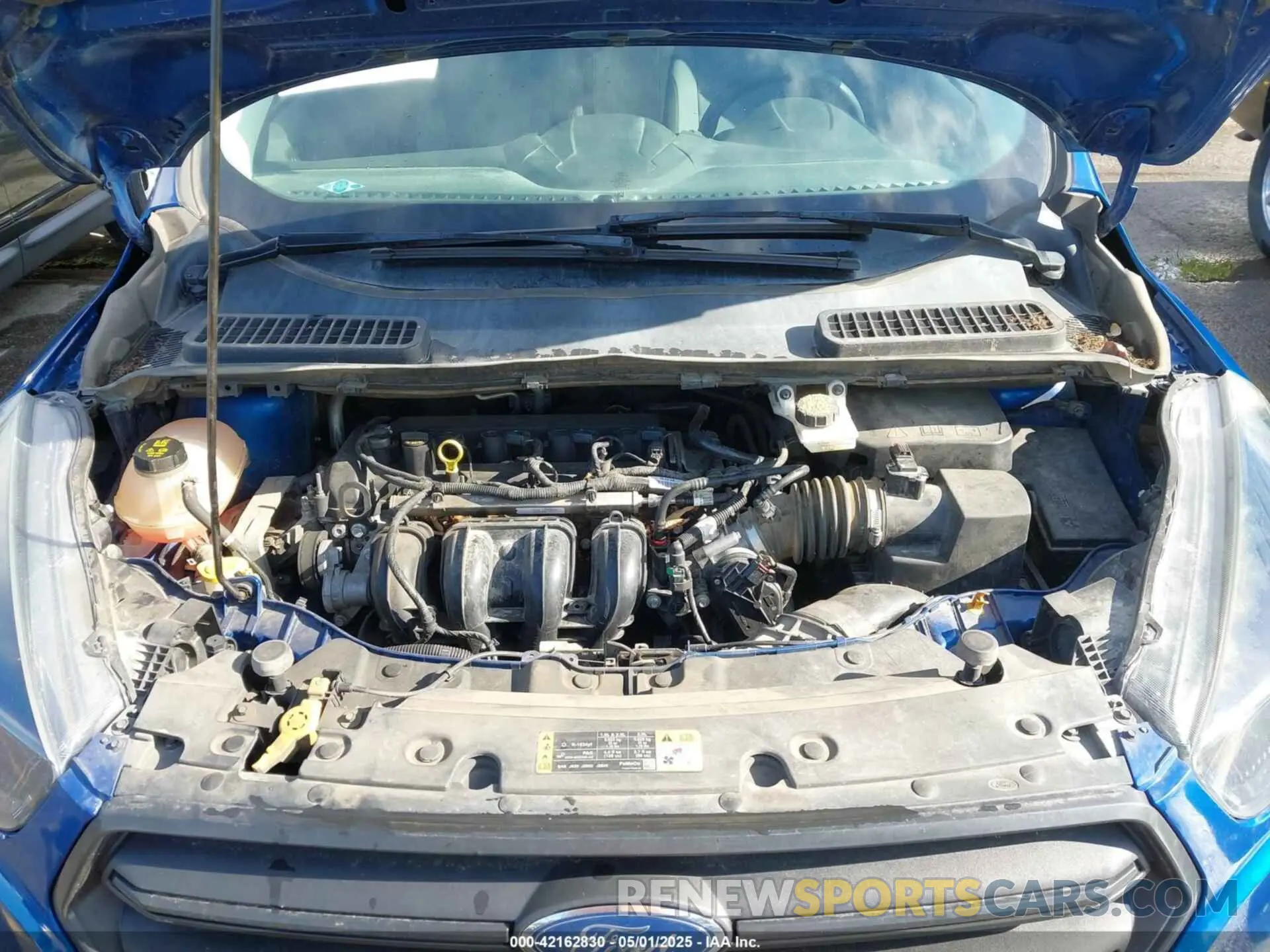10 fotografías del automóvil dañado 1FMCU0F77KUB11691 FORD ESCAPE 2019