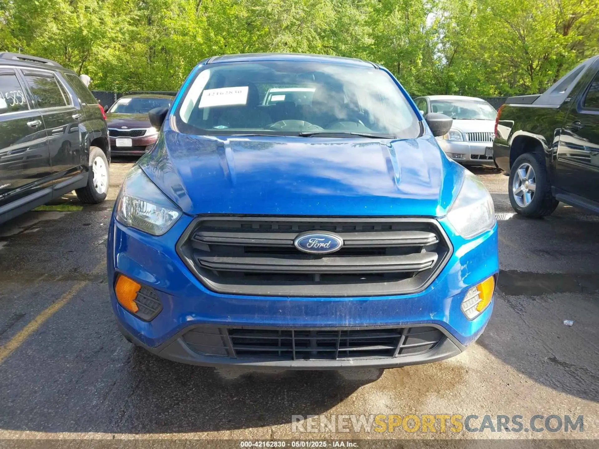 12 fotografías del automóvil dañado 1FMCU0F77KUB11691 FORD ESCAPE 2019