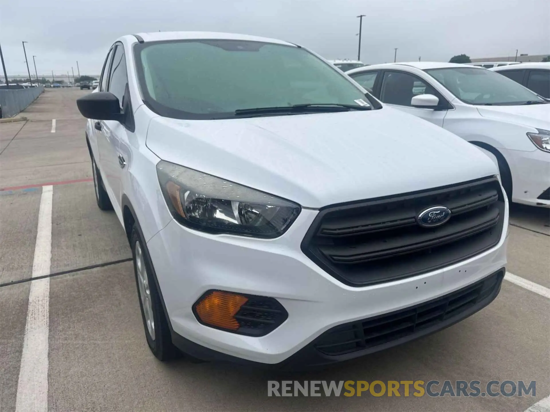14 fotografías del automóvil dañado 1FMCU0F78KUA99745 FORD ESCAPE 2019