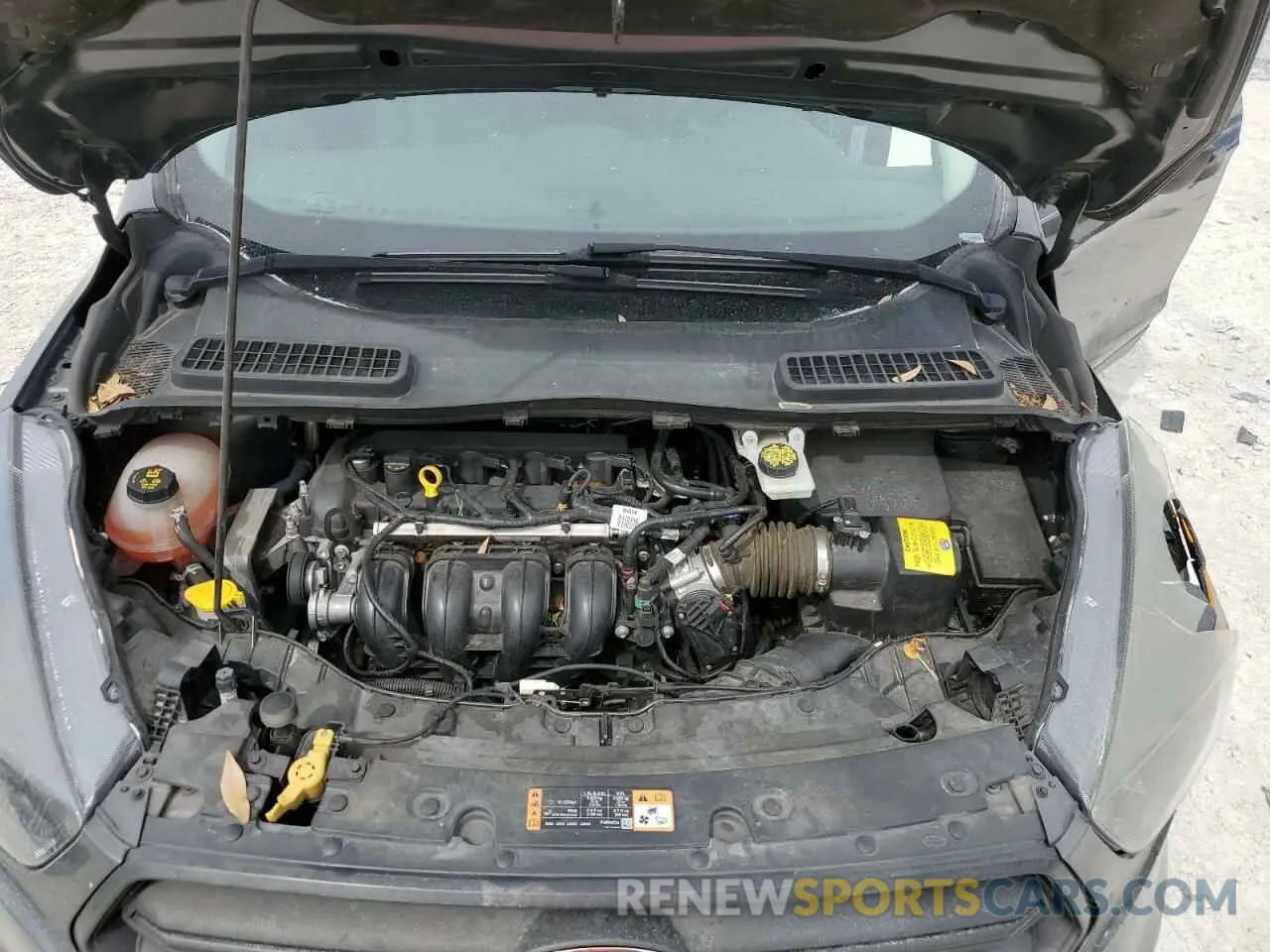 13 fotografías del automóvil dañado 1FMCU0F79KUA90102 FORD ESCAPE 2019