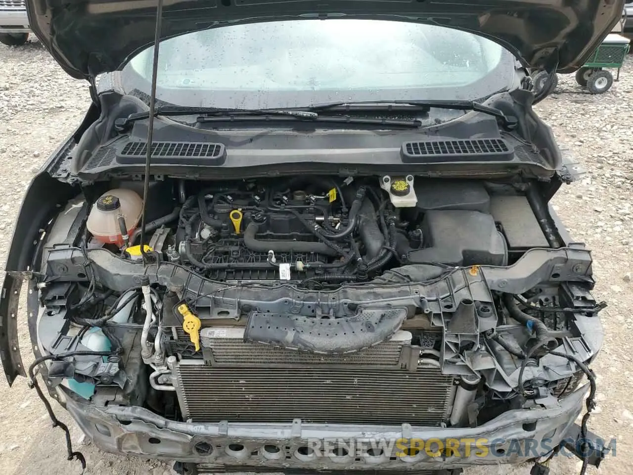 12 fotografías del automóvil dañado 1FMCU0GD0KUA15969 FORD ESCAPE 2019