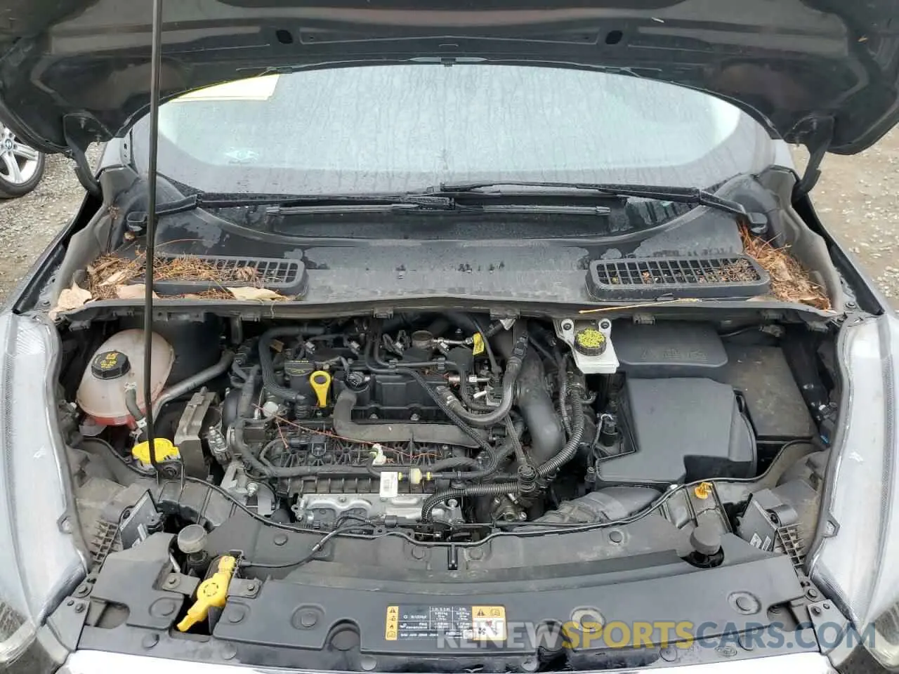 12 fotografías del automóvil dañado 1FMCU0GD0KUA80546 FORD ESCAPE 2019