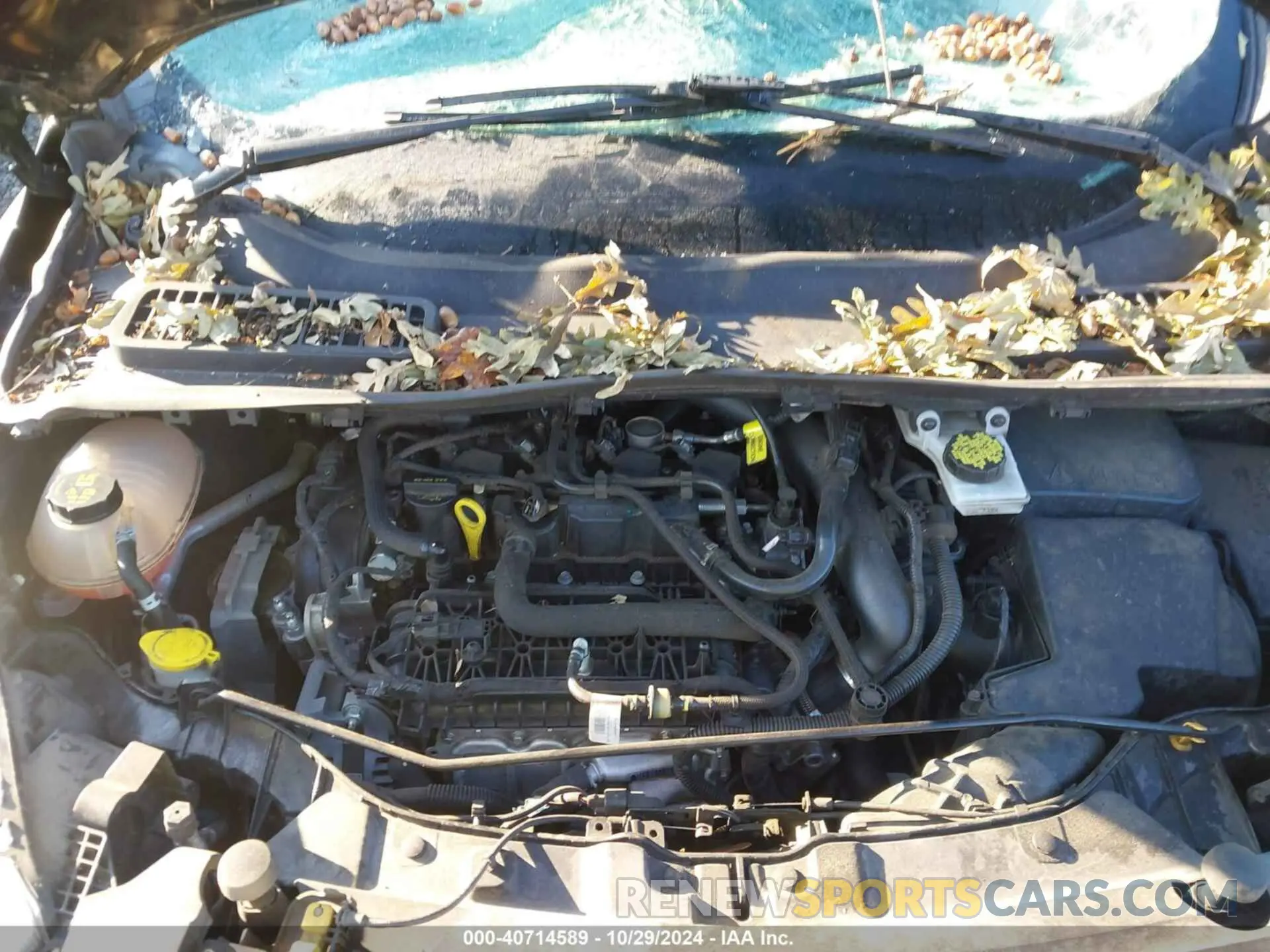 10 fotografías del automóvil dañado 1FMCU0GD1KUA07539 FORD ESCAPE 2019
