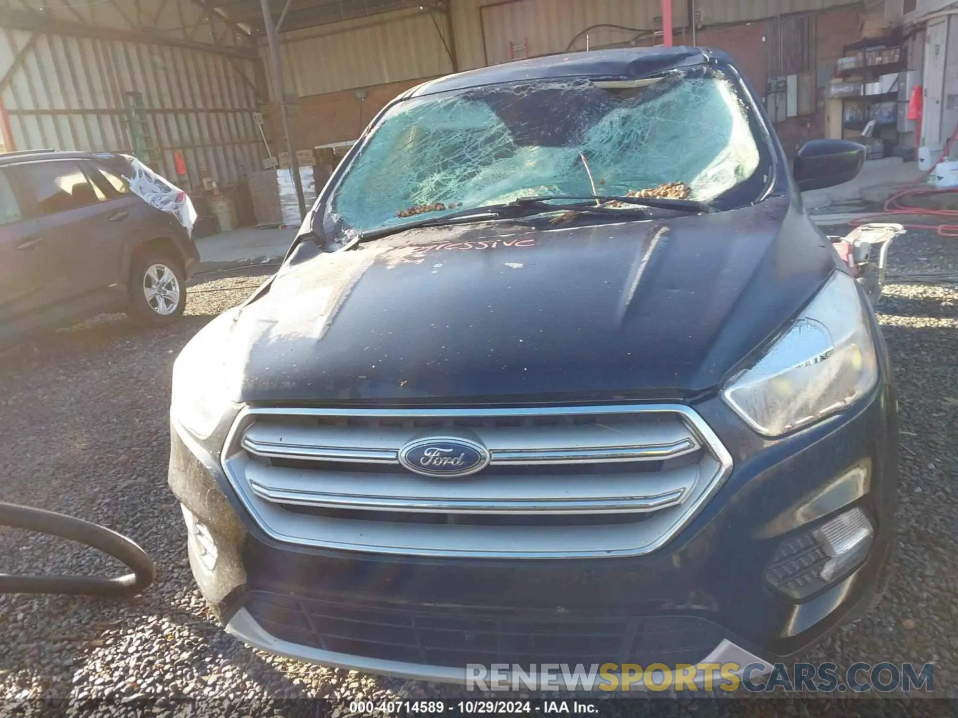 12 fotografías del automóvil dañado 1FMCU0GD1KUA07539 FORD ESCAPE 2019