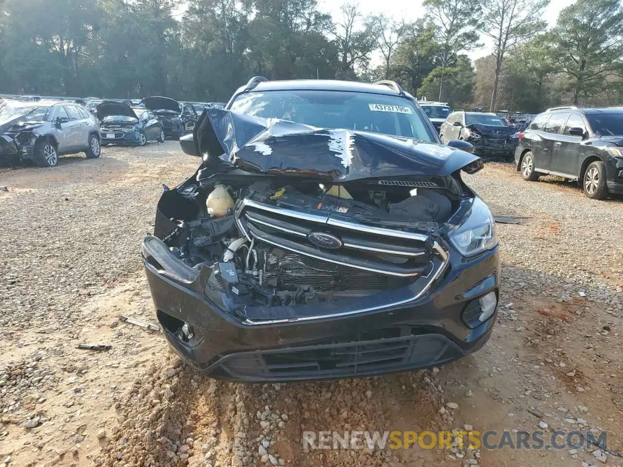 5 fotografías del automóvil dañado 1FMCU0GD1KUB14137 FORD ESCAPE 2019