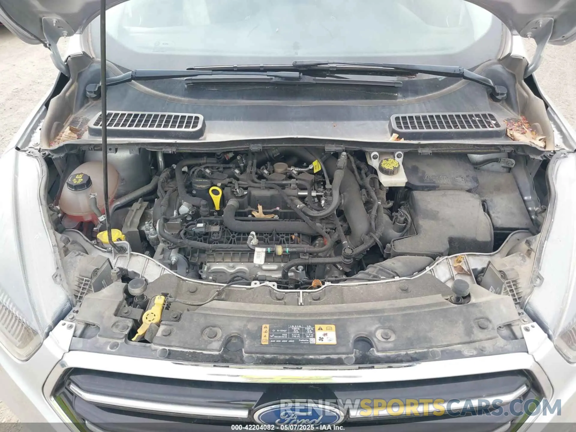 10 fotografías del automóvil dañado 1FMCU0GD1KUB64049 FORD ESCAPE 2019
