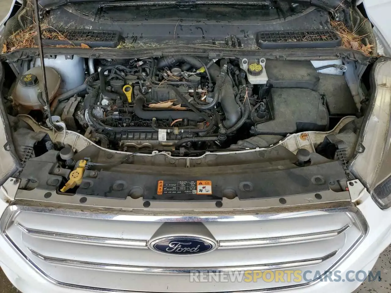 12 fotografías del automóvil dañado 1FMCU0GD1KUB65606 FORD ESCAPE 2019