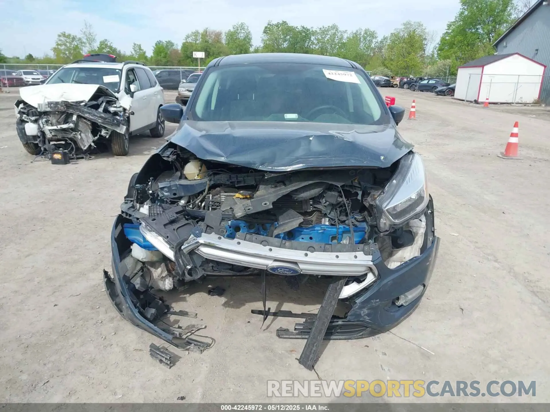 12 fotografías del automóvil dañado 1FMCU0GD2KUB98923 FORD ESCAPE 2019