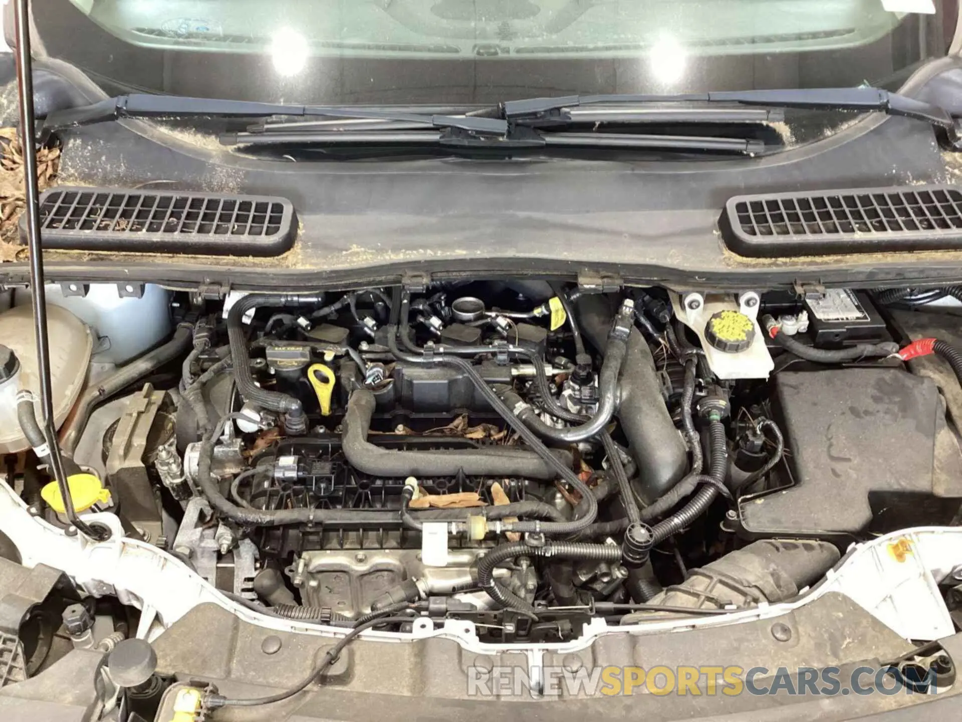 32 fotografías del automóvil dañado 1FMCU0GD2KUC36960 FORD ESCAPE 2019