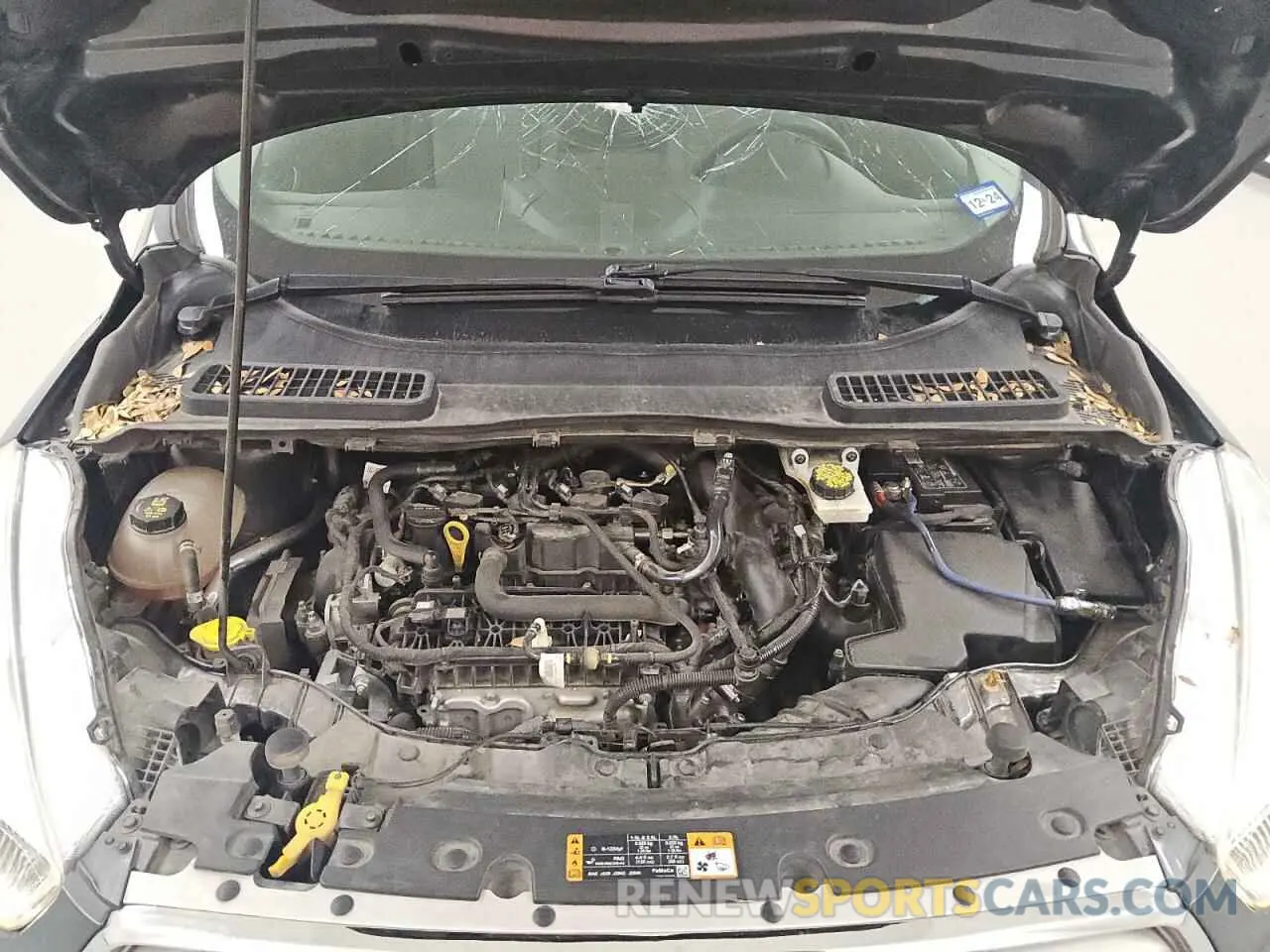 11 fotografías del automóvil dañado 1FMCU0GD2KUC52723 FORD ESCAPE 2019