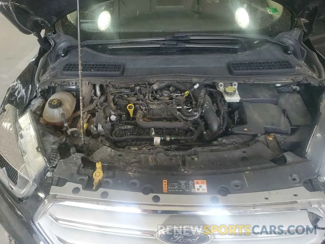 12 fotografías del automóvil dañado 1FMCU0GD3KUA07915 FORD ESCAPE 2019