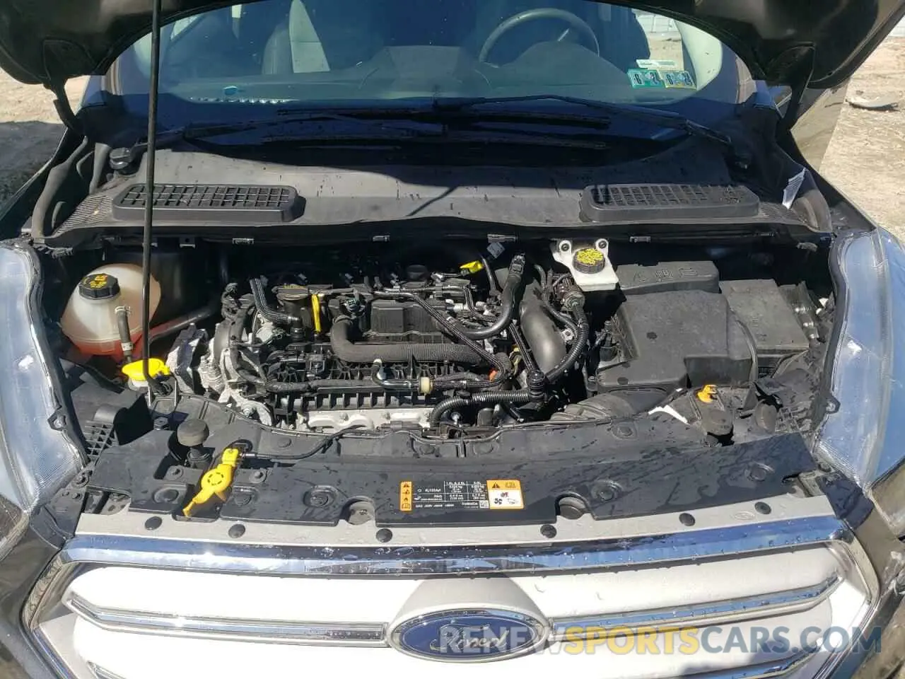 12 fotografías del automóvil dañado 1FMCU0GD3KUA26822 FORD ESCAPE 2019