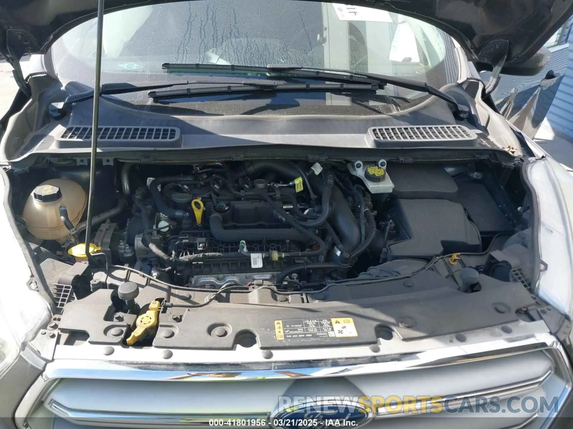 10 fotografías del automóvil dañado 1FMCU0GD3KUA71923 FORD ESCAPE 2019