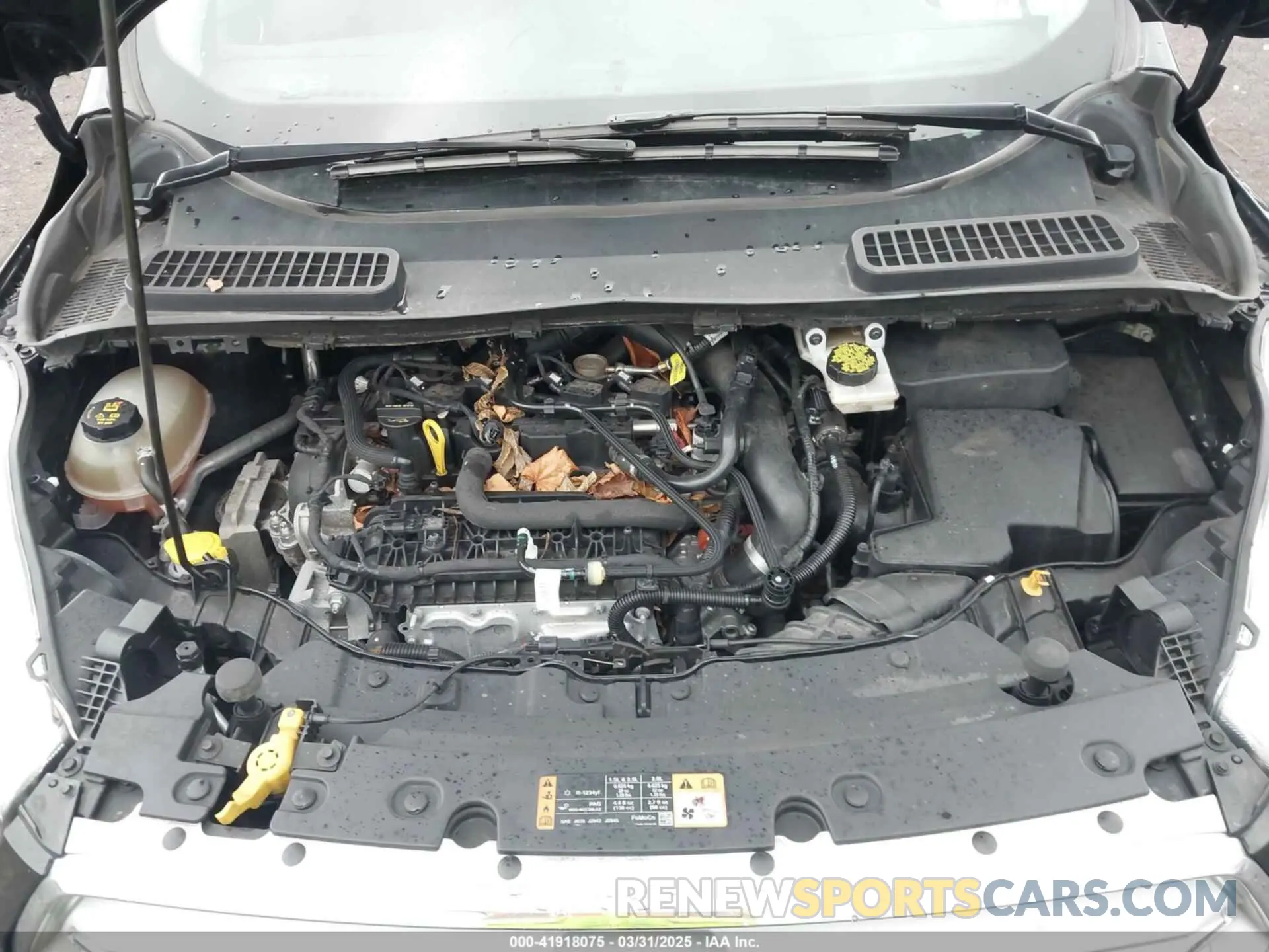 10 fotografías del automóvil dañado 1FMCU0GD4KUA60347 FORD ESCAPE 2019