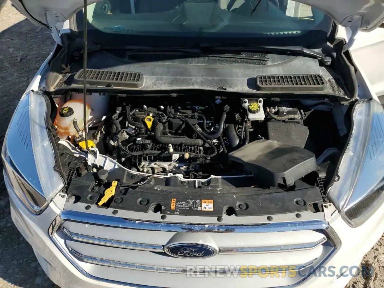 12 fotografías del automóvil dañado 1FMCU0GD4KUB00085 FORD ESCAPE 2019